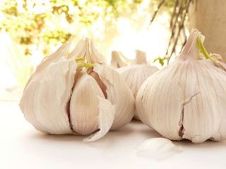 garlic bulbs outdoors