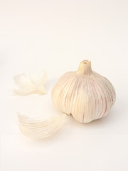 garlic bulb 2