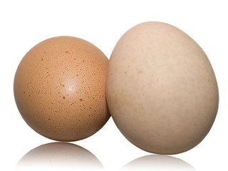 Huevos