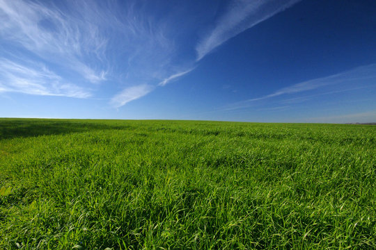 paysage