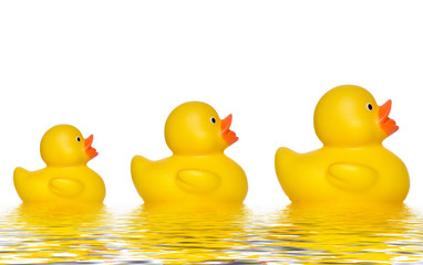 three yellow ducks