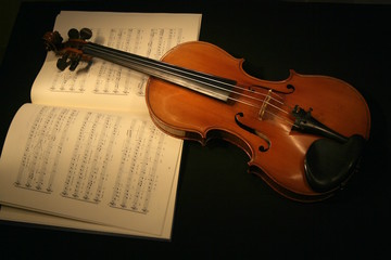 Fototapeta premium Violin