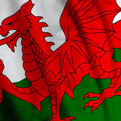 Close up of the Welsh flag, square image