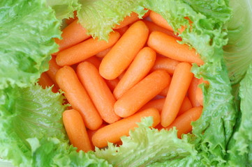 Fresh mini carrots and lettuce, close-up