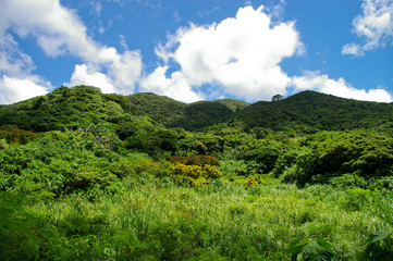 Fototapeta na wymiar Hills Jungle w Ishigaki