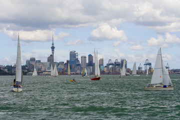 City of Sales - Auckland New Zealand