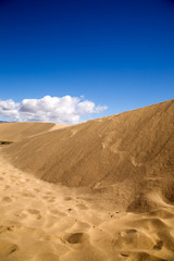 Fototapeta na wymiar Maspalomas sand dunes in Gran Canaria, Spain