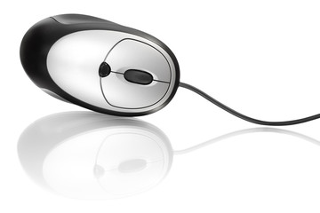 computer mouse on white