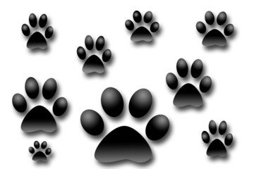 dog photo prints 3d illustration