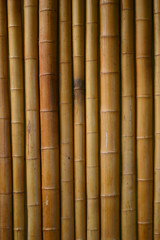 Fototapeta premium japanese bamboo background