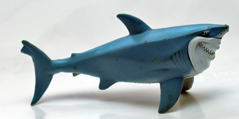 poisson
