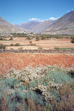 valley from the Annapurna Circuit trail in Nepal