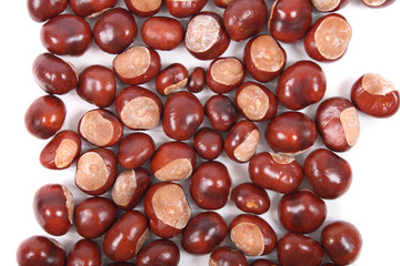 chestnuts