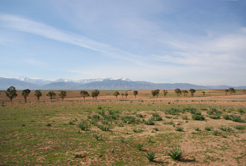 Fototapeta na wymiar deserto de Marrakech