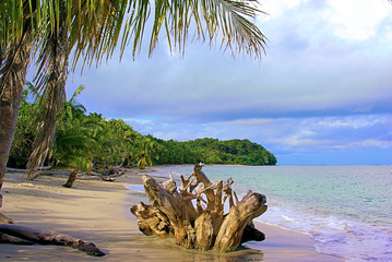 couleurs caraibes