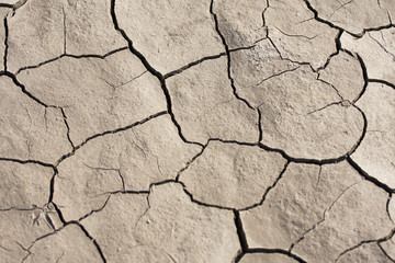 terre sèche