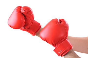Boxer against white background