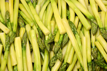 Freshly cooked asparagus spears
