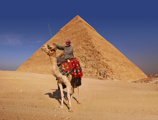 Bedouin and camel in front of the Great Pyramid at Giza