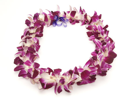Fototapeta Polynesian/Hawaiian lei shot on white