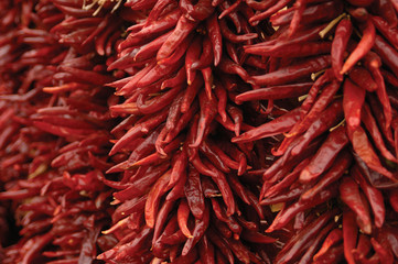 Naklejka premium Czerwone papryczki chili