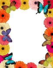 Springtime themed frame made of butterflies and Gerber daisies