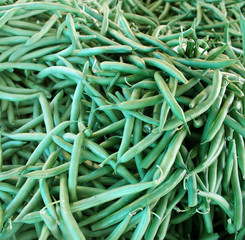 Background of fresh green string beans.