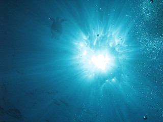 Rays from underwater 103