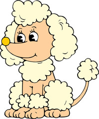 Poodle
