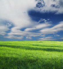 Fototapeta premium Grasslandand and blue