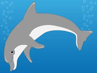 Poster Dolfijn in het water © djdarkflower