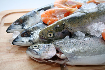 Frischer Fisch