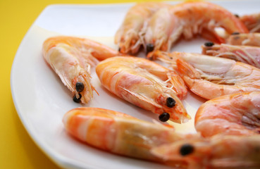 Delikatesse