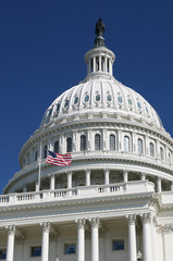 The US Capitol, Washington DC