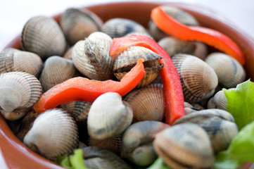 fresh cockles with vegetables ready to cook