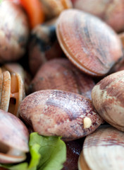 fresh clams with vegetables, ready to cook