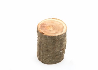 Cut of a tree trunk