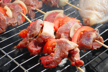 Barbecue in the stick roasted in the ember .