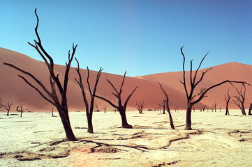 Fototapeta na wymiar Panorama desert