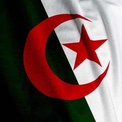 Foto op Canvas Close up of the Algerian flag, square image © mtrommer