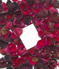 rose petals and notecard in heart shape