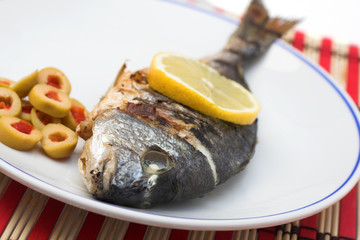 Grilled gilt-head bream on porcelain plate