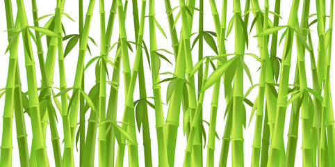 Panele Szklane  projekt chińskich drzew bambusowych