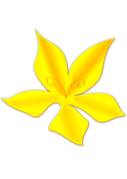 fiore giallo