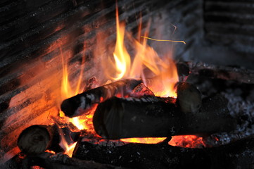 feu de chemin&eacute;e