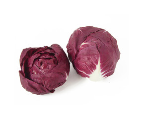 radicchio rosso di Chioggia,