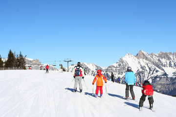 skiers in alps