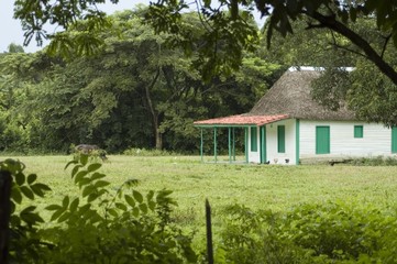 typical farm house "bohio" on cuban countryside