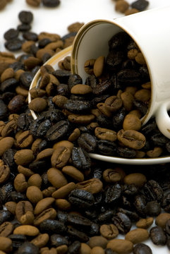 Coffe