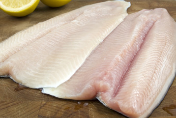 Fresh rainbow trout filets